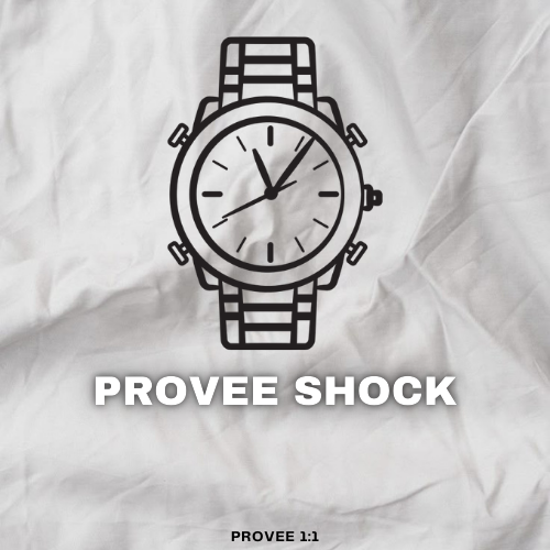 Proveedor shock