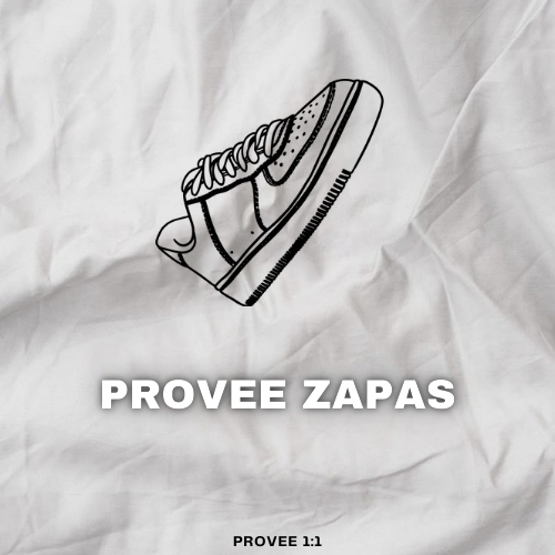 Proveeedor zapas